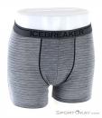 Icebreaker Anatomica Zone Boxers Mens Underpants, Icebreaker, Gray, , Male, 0011-10302, 5637722073, 9420062914465, N2-02.jpg