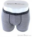 Icebreaker Anatomica Zone Boxers Mens Underpants, Icebreaker, Gray, , Male, 0011-10302, 5637722073, 9420062914465, N3-03.jpg