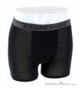 Icebreaker Anatomica Zone Boxers Mens Underpants, , Black, , Male, 0011-10302, 5637722080, , N2-02.jpg