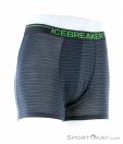 Icebreaker Anatomica Zone Boxers Mens Underpants, , Multicolored, , Male, 0011-10302, 5637722086, , N1-01.jpg