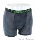 Icebreaker Anatomica Zone Boxers Mens Underpants, , Multicolored, , Male, 0011-10302, 5637722086, , N2-02.jpg