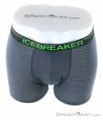 Icebreaker Anatomica Zone Boxers Mens Underpants, , Multicolored, , Male, 0011-10302, 5637722086, , N3-03.jpg