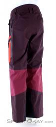Peak Performance Gravity Womens Ski Pants, Peak Performance, Red, , Female, 0330-10022, 5637727041, 5713113176757, N1-11.jpg