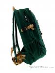 The North Face Borealis Classic 29l Backpack, , Green, , Male,Female,Unisex, 0205-10249, 5637727444, , N1-16.jpg