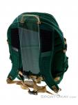 The North Face Borealis Classic 29l Backpack, , Green, , Male,Female,Unisex, 0205-10249, 5637727444, , N2-12.jpg