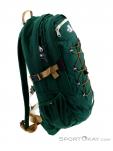 The North Face Borealis Classic 29l Backpack, , Green, , Male,Female,Unisex, 0205-10249, 5637727444, , N2-17.jpg