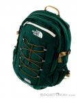 The North Face Borealis Classic 29l Backpack, The North Face, Green, , Male,Female,Unisex, 0205-10249, 5637727444, 192827502741, N3-03.jpg
