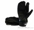 Oakley Factory Winter Trigger Mitt 2 Handschuhe, Oakley, Schwarz, , Herren, 0064-10186, 5637728241, 00200136691879, N1-11.jpg
