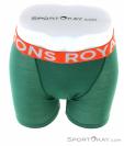 Mons Royale Hold 'em Boxer Mens Underpants, , Green, , Male, 0309-10069, 5637728488, , N3-03.jpg