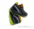 Dynafit Trailbreaker Evo Mens Trail Running Shoes, Dynafit, Black, , Male, 0015-10819, 5637731000, 4053866013581, N2-17.jpg