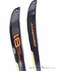 Dynafit Speedfit Pro 81 Ski de travesía 2020, Dynafit, Naranja, , Hombre,Mujer,Unisex, 0015-10829, 5637731254, 4046402079158, N3-18.jpg