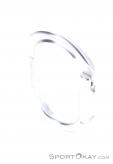 Black Diamond Oval Keylock Carabiner, Black Diamond, Gray, , , 0056-10842, 5637731918, 793661356219, N3-03.jpg
