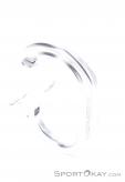 Black Diamond Oval Keylock Carabiner, Black Diamond, Gray, , , 0056-10842, 5637731918, 793661356219, N3-13.jpg