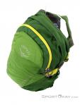 Osprey Daylite 13l Backpack, Osprey, Green, , Male,Female,Unisex, 0149-10184, 5637732591, 0, N4-04.jpg