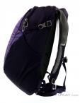 Osprey Daylite 13l Backpack, Osprey, Purple, , Male,Female,Unisex, 0149-10184, 5637732594, 845136087552, N1-06.jpg