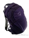 Osprey Daylite 13l Backpack, Osprey, Purple, , Male,Female,Unisex, 0149-10184, 5637732594, 845136087552, N3-18.jpg