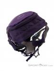 Osprey Daylite 13l Backpack, , Purple, , Male,Female,Unisex, 0149-10184, 5637732594, , N4-09.jpg