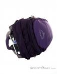 Osprey Daylite 13l Backpack, , Purple, , Male,Female,Unisex, 0149-10184, 5637732594, , N5-15.jpg