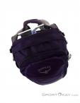 Osprey Daylite 13l Backpack, Osprey, Purple, , Male,Female,Unisex, 0149-10184, 5637732594, 845136087552, N5-20.jpg