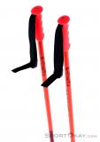 Völkl Speedstick Ski Poles, , Rouge, , Hommes,Femmes,Unisex, 0127-10250, 5637734078, , N3-13.jpg