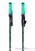 Völkl Phantastick Ski Poles, Völkl, Green, , Male,Female,Unisex, 0127-10252, 5637734107, 0, N1-01.jpg