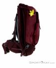 Deuter Aviant Access Pro SL 55l Womens Backpack, Deuter, Purple, , Female, 0078-10401, 5637735064, 4046051099101, N1-16.jpg