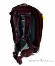 Deuter Aviant Access Pro SL 55l Womens Backpack, Deuter, Purple, , Female, 0078-10401, 5637735064, 4046051099101, N2-12.jpg