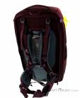Deuter Aviant Access Pro SL 65l Womens Backpack, Deuter, Purple, , Female, 0078-10403, 5637737554, 4046051099149, N2-12.jpg