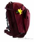 Deuter Aviant Access Pro SL 65l Womens Backpack, Deuter, Purple, , Female, 0078-10403, 5637737554, 4046051099149, N2-17.jpg