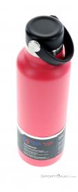 Hydro Flask 21oz Standard Mouth 0,621l Thermosflasche, Hydro Flask, Pink-Rosa, , , 0311-10032, 5637737958, 810911034571, N3-08.jpg