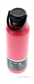 Hydro Flask 21oz Standard Mouth 0,621l Thermos Bottle, Hydro Flask, Pink, , , 0311-10032, 5637737958, 810911034571, N3-13.jpg