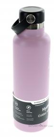 Hydro Flask 21oz Standard Mouth 0,621l Thermos Bottle, Hydro Flask, Purple, , , 0311-10032, 5637737959, 810911034540, N2-17.jpg