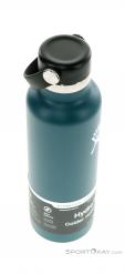 Hydro Flask 21oz Standard Mouth 0,621l Thermos Bottle, Hydro Flask, Vert, , , 0311-10032, 5637737961, 810911034533, N3-18.jpg