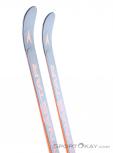 Dynastar Speed WC FIS GS R22 + SPX15 Rockerrace Ski Set 2020, Dynastar, Black, , Male,Female,Unisex, 0339-10011, 5637741157, 3607682992257, N2-17.jpg