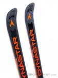 Dynastar Speed WC FIS GS R22 + SPX15 Rockerrace Ski Set 2020, Dynastar, Black, , Male,Female,Unisex, 0339-10011, 5637741157, 3607682992257, N3-18.jpg