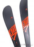 Dynastar Legend Pro Rider F-Team 192cm Freeride Skis 2020, Dynastar, Black, , Male,Female,Unisex, 0339-10026, 5637741281, 3607682981305, N4-19.jpg