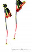 Leki Carbon GS Ski Poles, Leki, Red, , Male,Female,Unisex, 0012-10284, 5637741464, 4028173779376, N4-09.jpg