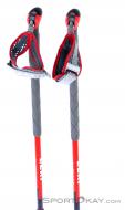 Leki Guide Lite V Ski Touring Poles, , Red, , Male,Female,Unisex, 0012-10307, 5637741804, , N2-12.jpg