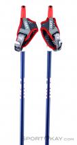 Leki Pacemaker 100-130cm Nordic Walking Poles, , Blue, , Male,Female,Unisex, 0012-10324, 5637742450, , N1-11.jpg
