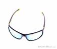 Alpina Lyron PMR Sunglasses, , Black, , Male,Female,Unisex, 0027-10157, 5637742504, , N3-03.jpg