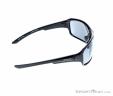 Alpina Lyron PMR Sunglasses, , Gray, , Male,Female,Unisex, 0027-10157, 5637742505, , N2-17.jpg