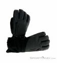 Dakine Sequoia Glove Leather GTX Women Gloves Gore-Tex, Dakine, Gray, , Female, 0200-10160, 5637742758, 610934352443, N1-01.jpg