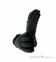 Dakine Sequoia Glove Leather GTX Women Gloves Gore-Tex, Dakine, Gray, , Female, 0200-10160, 5637742758, 610934352443, N1-06.jpg