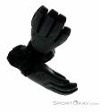 Dakine Sequoia Glove Leather GTX Women Gloves Gore-Tex, Dakine, Gray, , Female, 0200-10160, 5637742758, 610934352443, N4-04.jpg