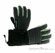 Dakine Omni Glove GTX Womens Gloves Gore-Tex, Dakine, Gris, , Femmes, 0200-10162, 5637742797, 610934297812, N1-01.jpg