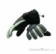 Dakine Omni Glove GTX Womens Gloves Gore-Tex, Dakine, Gris, , Femmes, 0200-10162, 5637742797, 610934297812, N5-10.jpg