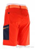 Salewa Pedroc Cargo 2 DST Mens Outdoor Shorts, , Orange, , Male, 0032-10772, 5637754189, , N1-11.jpg