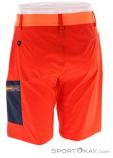 Salewa Pedroc Cargo 2 DST Mens Outdoor Shorts, , Orange, , Male, 0032-10772, 5637754189, , N2-12.jpg