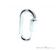 LACD Quick Link Oval 10mm Maillon rapide, LACD, Gris, , , 0301-10078, 5637765141, 0, N2-02.jpg
