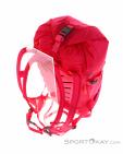 Salewa Ultra Train 22l Backpack, , Pink, , Male,Female,Unisex, 0032-10802, 5637776173, , N3-13.jpg